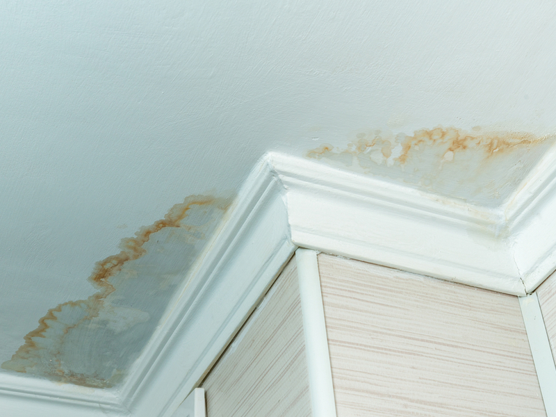 Water stain on ceiling